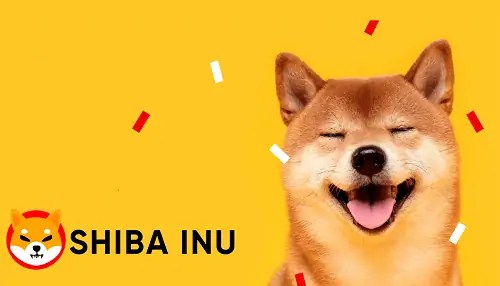 Como comprar shiba inu