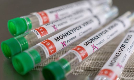 Brasil terá antiviral para lidar com varíola dos macacos, indica Ministro