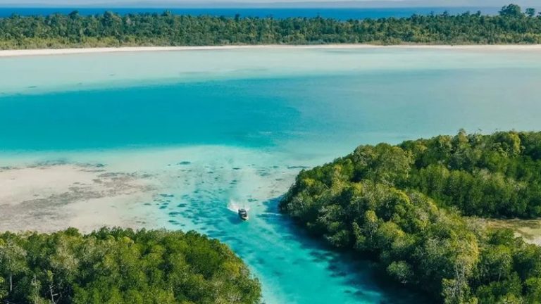 Ilhas paradisíacas entram no radar de empresa que pode afetar meio ambiente