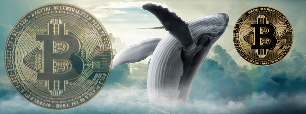 baleia de bitcoin